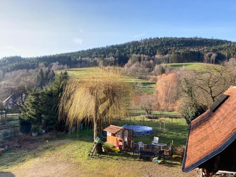 Logement Chaleureux, Vallee De Ville Steige Bagian luar foto